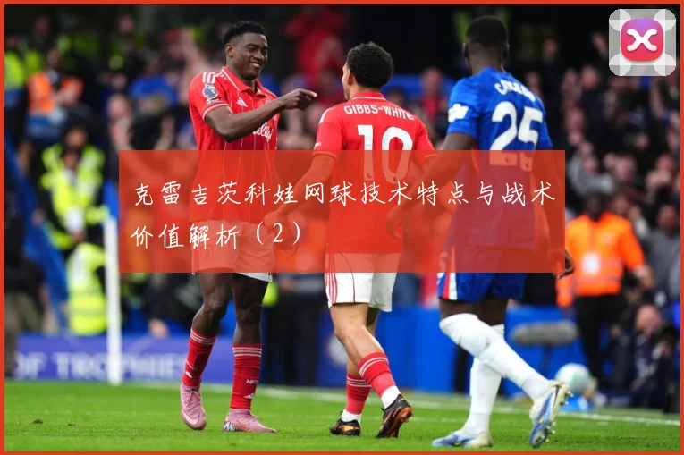 克雷吉茨科娃网球技术特点与战术价值解析（2）