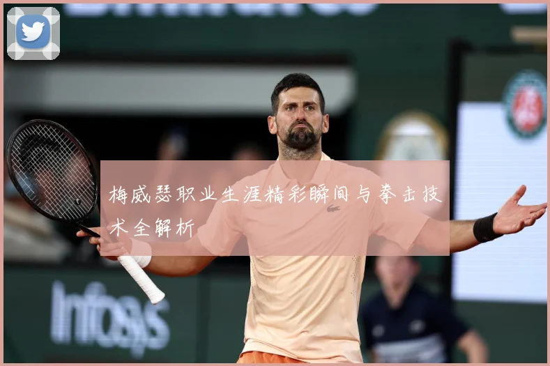 梅威瑟职业生涯精彩瞬间与拳击技术全解析