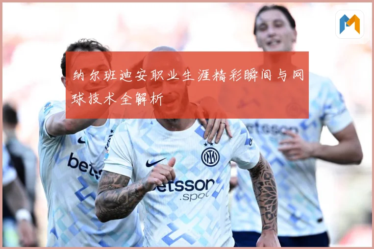 纳尔班迪安职业生涯精彩瞬间与网球技术全解析