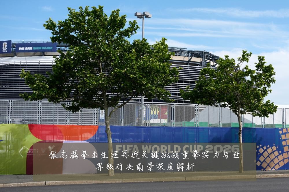 张志磊拳击生涯再迎关键挑战重拳实力与世界级对决前景深度解析